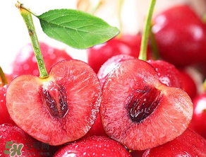 美早和大紅燈哪個好吃？美早和大紅燈的區(qū)別