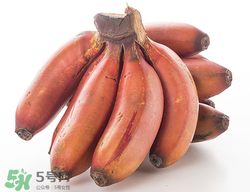 紅香蕉多少錢一斤？南洋紅香蕉多少錢一斤？