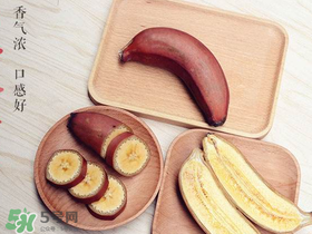 紅色香蕉和黃香蕉哪個好？紅香蕉和普通香蕉的區(qū)別