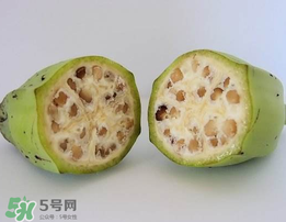 野香蕉可以吃嗎？野香蕉怎么吃？