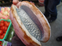 野香蕉可以吃嗎？野香蕉怎么吃？