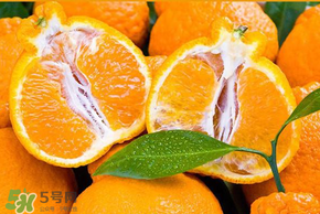 丑橘怎么挑？如何挑選正宗丑橘？