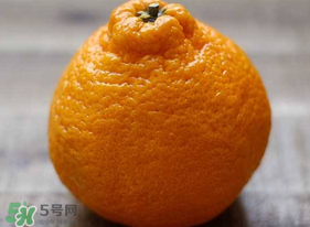 丑橘怎么挑？如何挑選正宗丑橘？