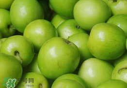 青棗是熱性還是涼性？青棗是涼性的嗎？