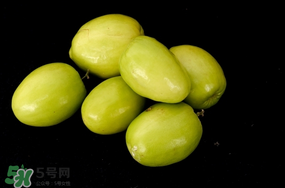 青棗什么時候上市？青棗什么時候成熟？