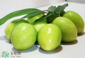 青棗什么時候上市？青棗什么時候成熟？