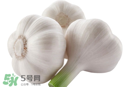 大蒜可以預(yù)防禽流感嗎？預(yù)防禽流感能吃大蒜嗎？