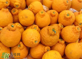 丑橘是轉(zhuǎn)基因嗎？丑八怪是轉(zhuǎn)基因的嗎？