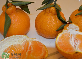 丑八怪水果上火嗎？丑八怪水果吃了降火嗎？