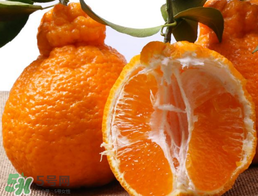 丑八怪水果上火嗎？丑八怪水果吃了降火嗎？