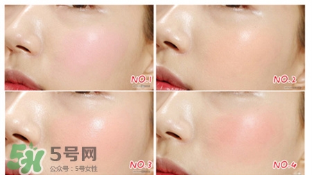 愛茉莉氣墊腮紅色號 愛茉莉氣墊腮紅試色