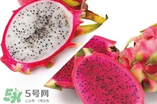 3月份有火龍果吃嗎？三月份可以吃火龍果嗎？