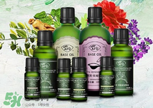 阿芙精油可以去痘印嗎？阿芙精油能不能去痘?。?></p><h3>阿芙茶樹精油怎么用</h3><h4>臉部保養(yǎng)</h4><p>1、直接點涂</p><p>茶樹精油是可以直接點涂在皮膚上的單方精油，用干凈的棉簽蘸取少量阿芙茶樹精油，直接點涂于痘痘處，痘痘會慢慢消退。</p><p>2、和護膚品混合</p><p>將1滴阿芙茶樹精油滴入爽膚水、乳液、精華、面霜等護膚品中，混合均勻后涂抹在臉上，可以收縮毛孔。</p><p>3、和面膜混合</p><p>將1滴阿芙茶樹精油滴入面膜中敷臉，可以調(diào)節(jié)肌膚油脂分泌，收縮毛孔，修復(fù)細胞。</p><p>4、面部按摩</p><p>將1滴阿芙茶樹精油、1滴洋甘菊精油、1滴薰衣草精油、10ml葡萄籽油混合均勻，用來按摩面部，可以幫助排毒。</p><p style=