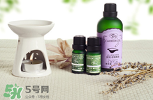 阿芙精油可以去痘印嗎？阿芙精油能不能去痘?。?></strong><br/></p><h4>身體保養(yǎng)</h4><p>1、泡澡</p><p>在浴缸中加入5~6滴阿芙茶樹精油，攪拌均勻，然后像平時一樣泡澡，可以有效控油，讓肌膚清新滑爽。</p><p>2、泡腳</p><p>在一盆熱水中加入2~3滴阿芙茶樹精油，攪拌均勻，用來泡腳10分鐘，可以有效治療香港腳。</p><p>3、涂在灰指甲上</p><p>在灰指甲上滴1滴阿芙茶樹精油，堅持使用，漸漸就會有健康的指甲長出來。</p><p>4、漱口</p><p>在一杯溫開水中加入1~2滴阿芙茶樹精油，攪拌均勻，用來漱口，可以改善牙齦出血、腫痛。</p><h4>消毒熏香</h4><p>1、熏香</p><p>在熏香爐中加入2~3滴阿芙茶樹精油，既可以讓香氣散發(fā)在室內(nèi)，還可以凈化空氣中的細菌、病毒和蚊蟲。</p><p>2、洗內(nèi)衣</p><p>洗內(nèi)衣時，在水里加入3~4滴阿芙茶樹精油，能夠有效殺滅細菌病毒、去除異味，預(yù)防感染婦科炎癥。</p><p>3、家庭清潔</p><p>在一桶清水中加入6滴阿芙茶樹精油，可用來洗抹布、碗盤、擦地板、擦桌子等，有助于殺菌，并消除污垢。</p>		</div>
<div align=