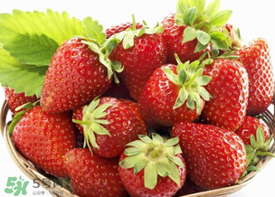 新鮮草莓怎么做好吃？新鮮草莓的吃法