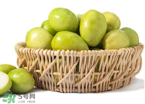 空腹吃青棗好嗎？青棗可以空腹吃嗎？