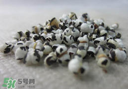 穿山甲下奶怎么吃？穿山甲下奶效果好嗎？