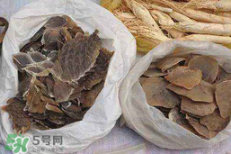 穿山甲下奶怎么吃？穿山甲下奶效果好嗎？