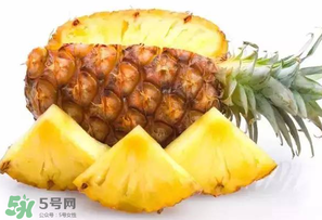 菠蘿批發(fā)多少錢一斤？菠蘿批發(fā)價(jià)格