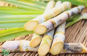 甘蔗要洗嗎？吃甘蔗時(shí)要用鹽水洗嗎？