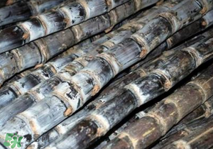 甘蔗凍黑了還能吃嗎？凍黑的甘蔗能吃嗎？