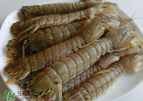 皮皮蝦多少錢一斤？皮皮蝦多少錢一斤2017？