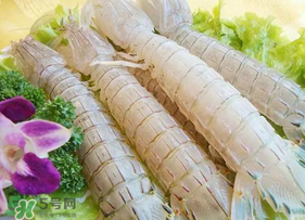 皮皮蝦為什么沒有肉？皮皮蝦為什么里面沒肉？