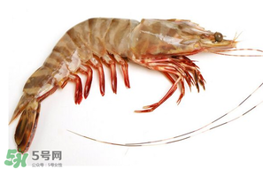 基圍蝦多少錢一斤？基圍蝦多少錢一斤2017？