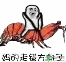 說人皮皮蝦是什么意思？女生叫男生皮皮蝦什么意思？