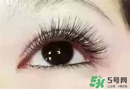 孕睫術是什么？孕睫術有用嗎？