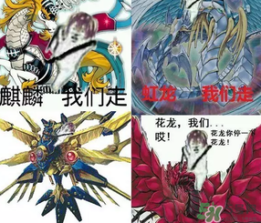 皮皮蝦為何突然火了？皮皮蝦怎么火的？