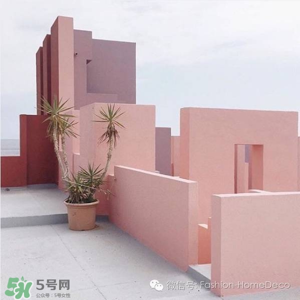 肉桂色是什么顏色？肉桂色口紅試色