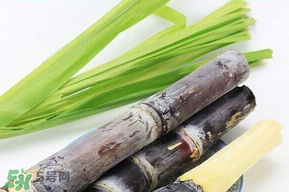 甘蔗發(fā)霉能吃嗎？吃了發(fā)霉的甘蔗怎么辦？