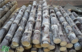 甘蔗發(fā)霉能吃嗎？吃了發(fā)霉的甘蔗怎么辦？