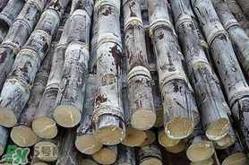 甘蔗里面發(fā)黑能吃嗎？甘蔗里面發(fā)黑是什么原因？