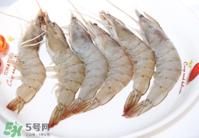 青蝦多少錢(qián)一斤？活青蝦多少錢(qián)一斤？