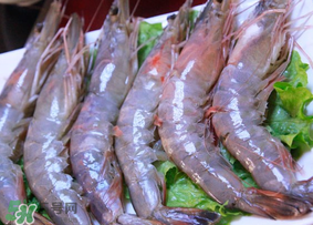 青蝦多少錢(qián)一斤？活青蝦多少錢(qián)一斤？