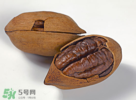 碧根果多少錢一斤2017?2017年碧根果價格 碧根果多少錢一斤2017?2017年碧根果價格