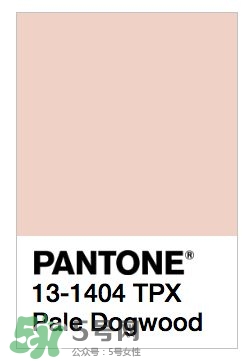 煙熏玫瑰色口紅哪個(gè)牌子好？煙熏玫瑰色口紅推薦