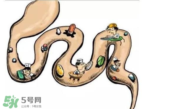 便秘吃什么藥好？便秘吃什么藥最快排便？