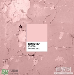 煙熏玫瑰色是什么顏色？煙熏玫瑰色唇膏口紅試色