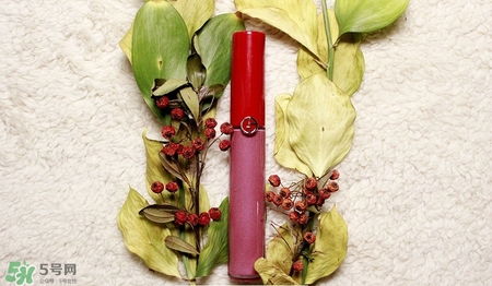 肉桂色口紅哪個(gè)牌子好？肉桂色口紅推薦