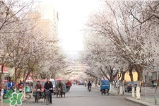 倒春寒是一種什么冷？倒春寒為什么會冷？