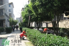 如何預(yù)防倒春寒？怎么預(yù)防倒春寒？