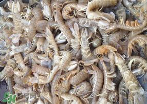 活的皮皮蝦怎么保存？活的皮皮蝦怎么保鮮？