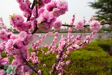 如何預(yù)防倒春寒？怎么預(yù)防倒春寒？