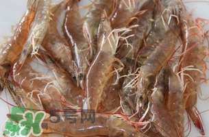 活基圍蝦怎么保存？活基圍蝦怎么處理干凈？