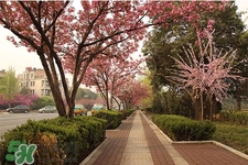 倒春寒如何預(yù)防感冒？怎樣預(yù)防倒春寒感冒？