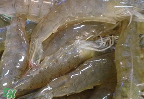 活蝦灌膠水是真的嗎？活蝦灌膠水人吃了會有什么害處？