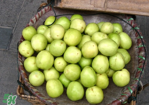 寶寶可以吃青棗嗎？寶寶可以多吃青棗嗎？